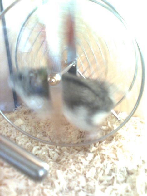 kep0159.jpg kep0159.jpg