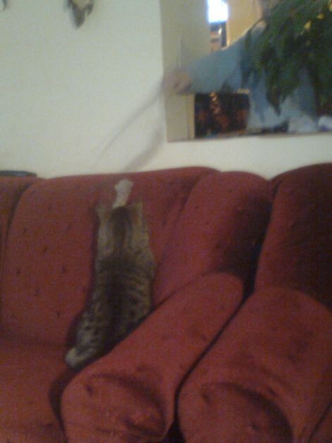 kep0461.jpg kep0461.jpg