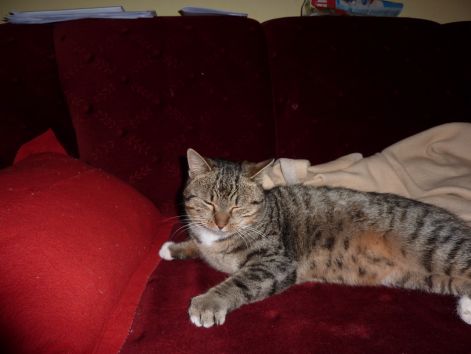 p1000272.jpg p1000272.jpg